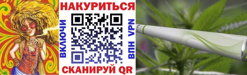 ГАШ Нововоронеж