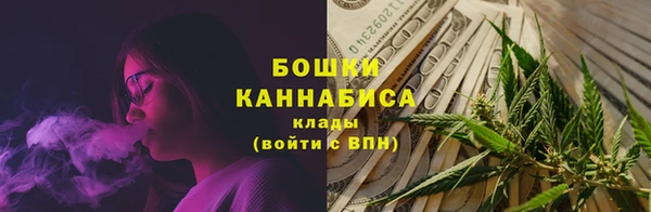 индика Новый Уренгой